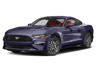 2024 Mustang in Dahlonega, GA